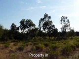French Property For Sale in France: Languedoc-Roussillon Pyrnes-Orientales 66 33300 EUR property