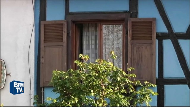 Alsace: un enfant de 18 mois succombe aux morsures d'un chien