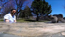 Un écureuil vole une GoPro et se filme dans les arbres