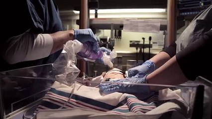 Audi quattro  A Fighting Chance