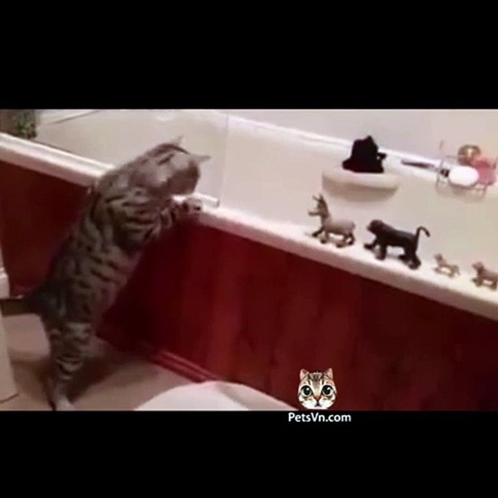 Cat gangster