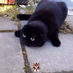 There is something over there.