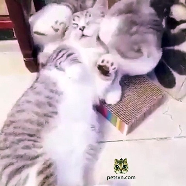 When it ends, I will see you again.