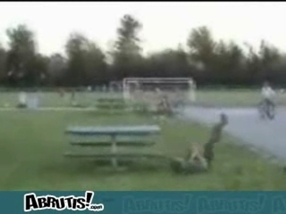 qu'un ane il a du ce faire mal!!