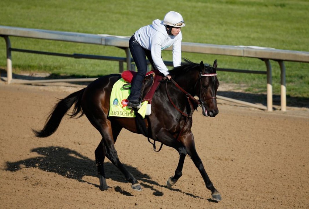 kentucky derby 2016 horses Odds and Dates 2016 Kentucky Derby Longshots 2016