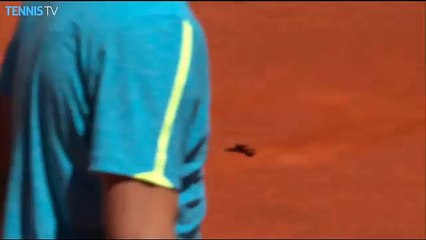 Tenis maçına davetsiz misafir!