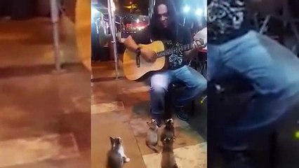 Malaysian street musician finds his best fans