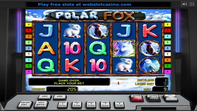 Polar Fox ilmainen kasino kolikkopeli Novomatic Video Esikatselu