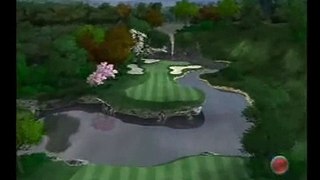 Tiger Woods 2004 Par 4 Hole In One Dragon Roar Easter Egg