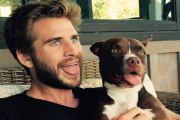 Liam Hemsworth le deja las cosas claras a Miley Cyrus