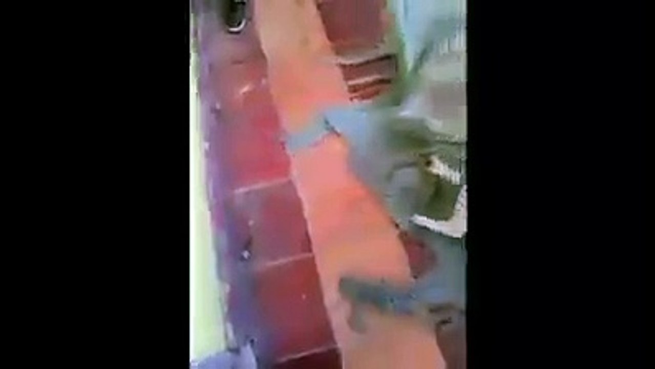 que vida boa