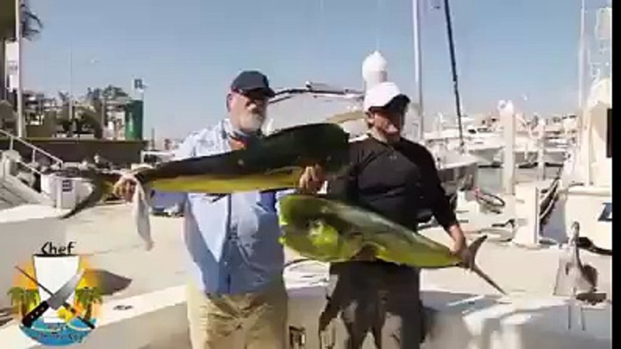 Fish hunting