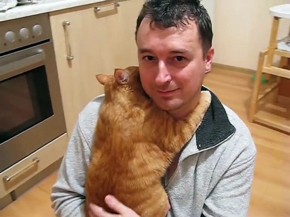 Ouh la la ! Voici le chat le plus gâté au monde