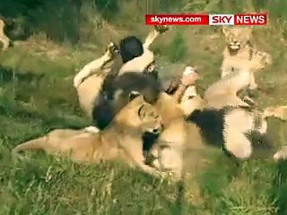 One of the most amazing videos you will ever see!