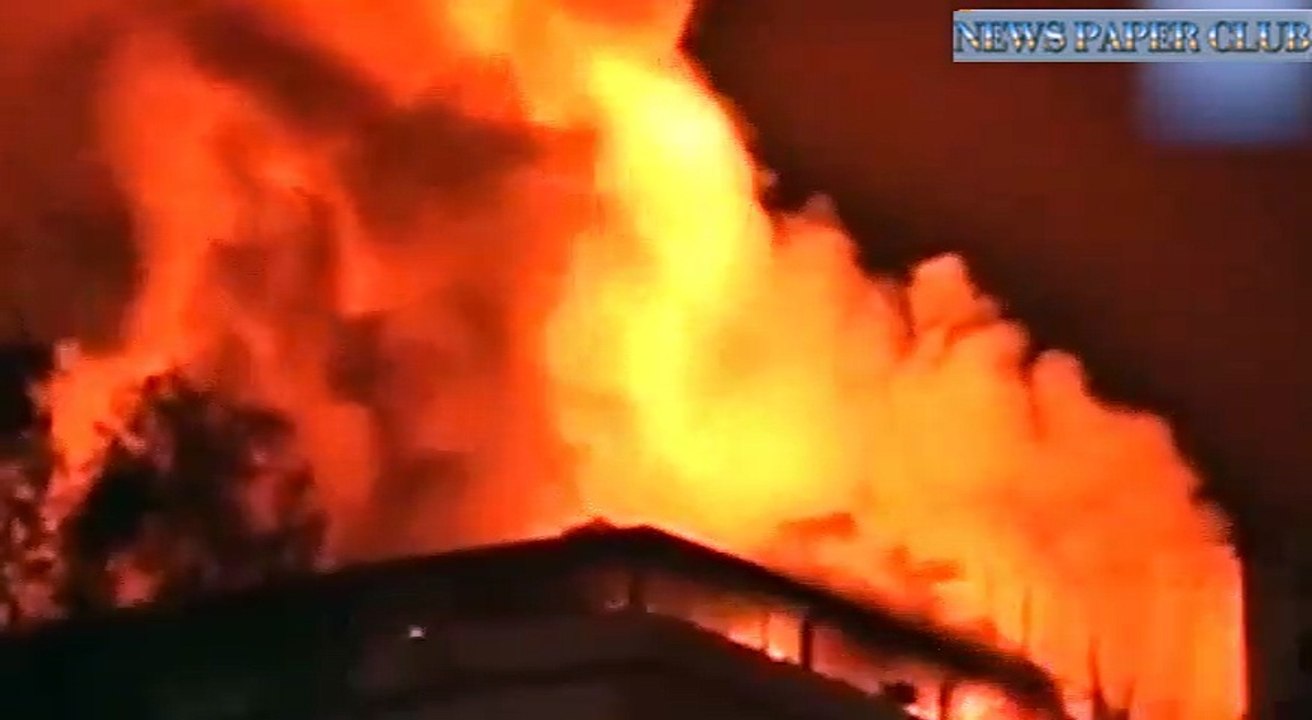 Massive Fire At Delhi’S Natural History Museum, No Casualties Reported