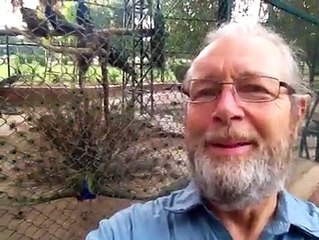 Views of a foreigner about Pakistan after visiting the country