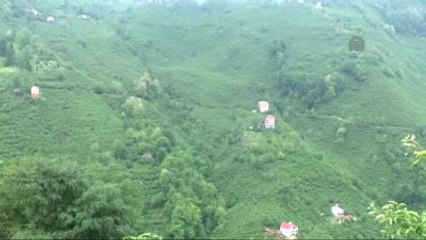 Jandarma Karakoluna Yapılan Terör Saldırısı