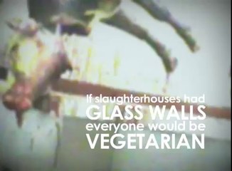 Paul McCartney's Glass Walls (Official Video)