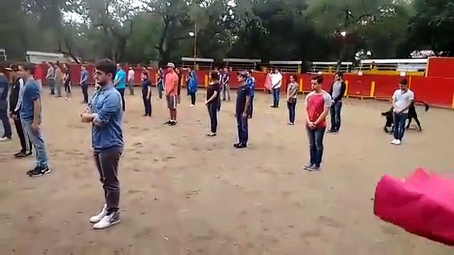 Un taureau lâché dans une arène avec pleins d’étudiants à l’intérieur, regardez le résultat !