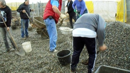 VILLE SHELTER 7.05.2016