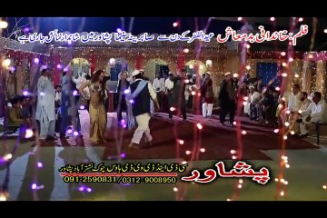 Pashto New Film Song 2016 Chars Lewanay Nasha Da Ashiqy Nasha