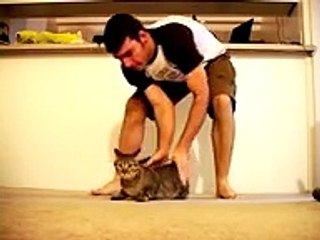 Mean Kitty - Identity Crisis