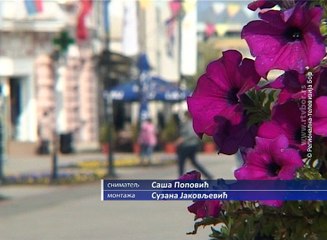 Majske svečanosti u Negotinu, 07. maj 2016. (RTV Bor)