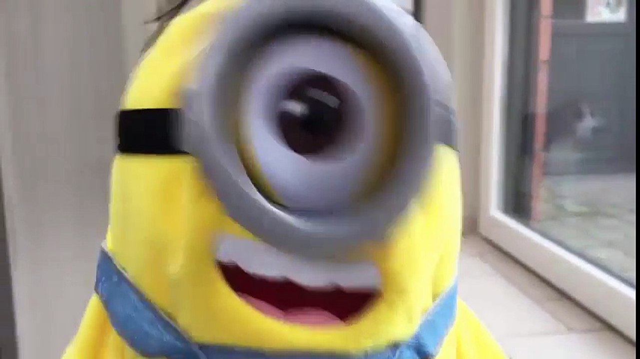 Hilarious Video Clip Compilation