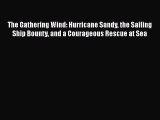 [Read Book] The Gathering Wind: Hurricane Sandy the Sailing Ship Bounty and a Courageous Rescue