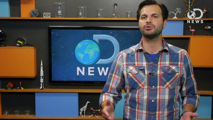 What Exactly Does The Sun Do To Your Skin