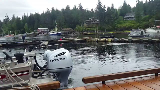 Un homme surpris de voir une telle chose surgir dans un port