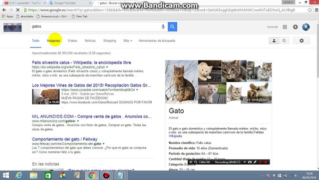 ¿Cómo encontrar fotos animadas (imágenes) en Google Imágenes