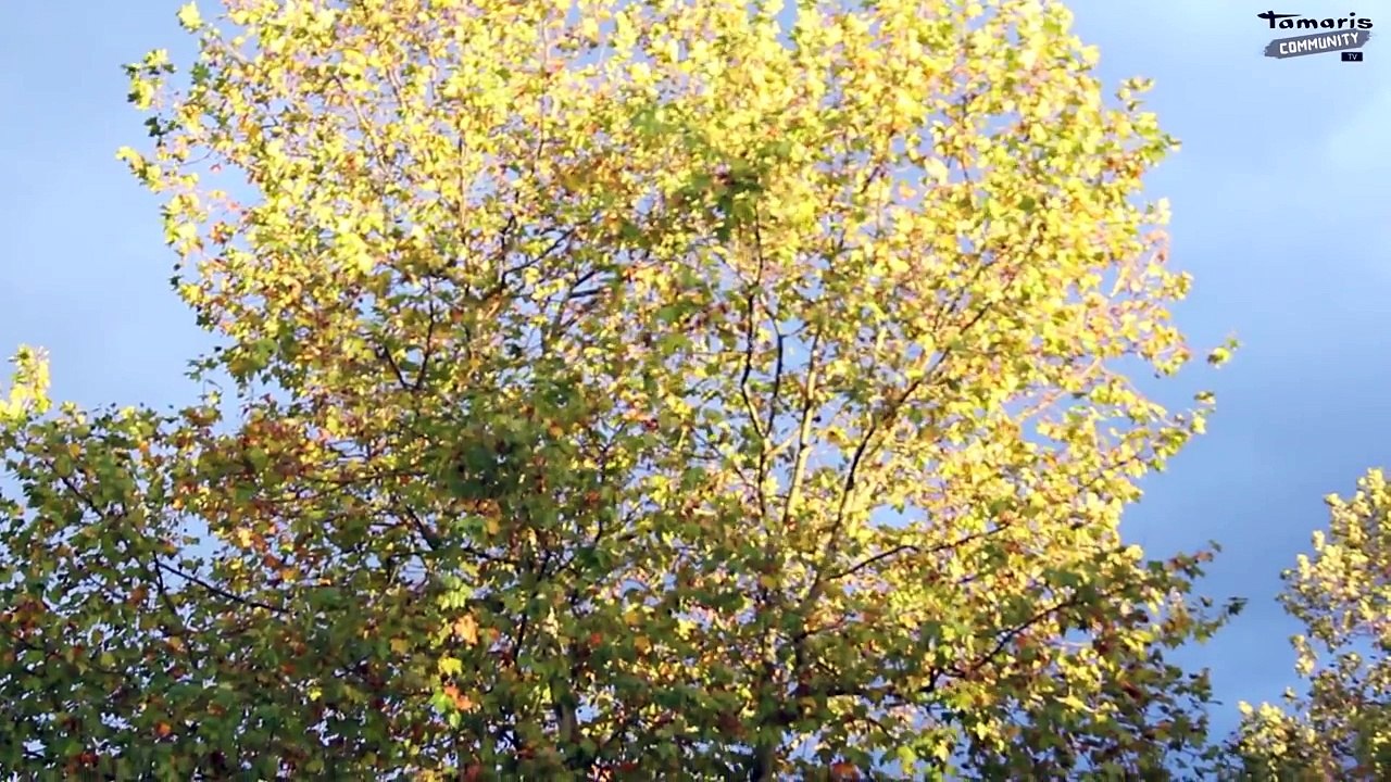 SCHUHE Herbst / Winter Trends 2014 / 2015 Get the Look / Tamaris Community TV