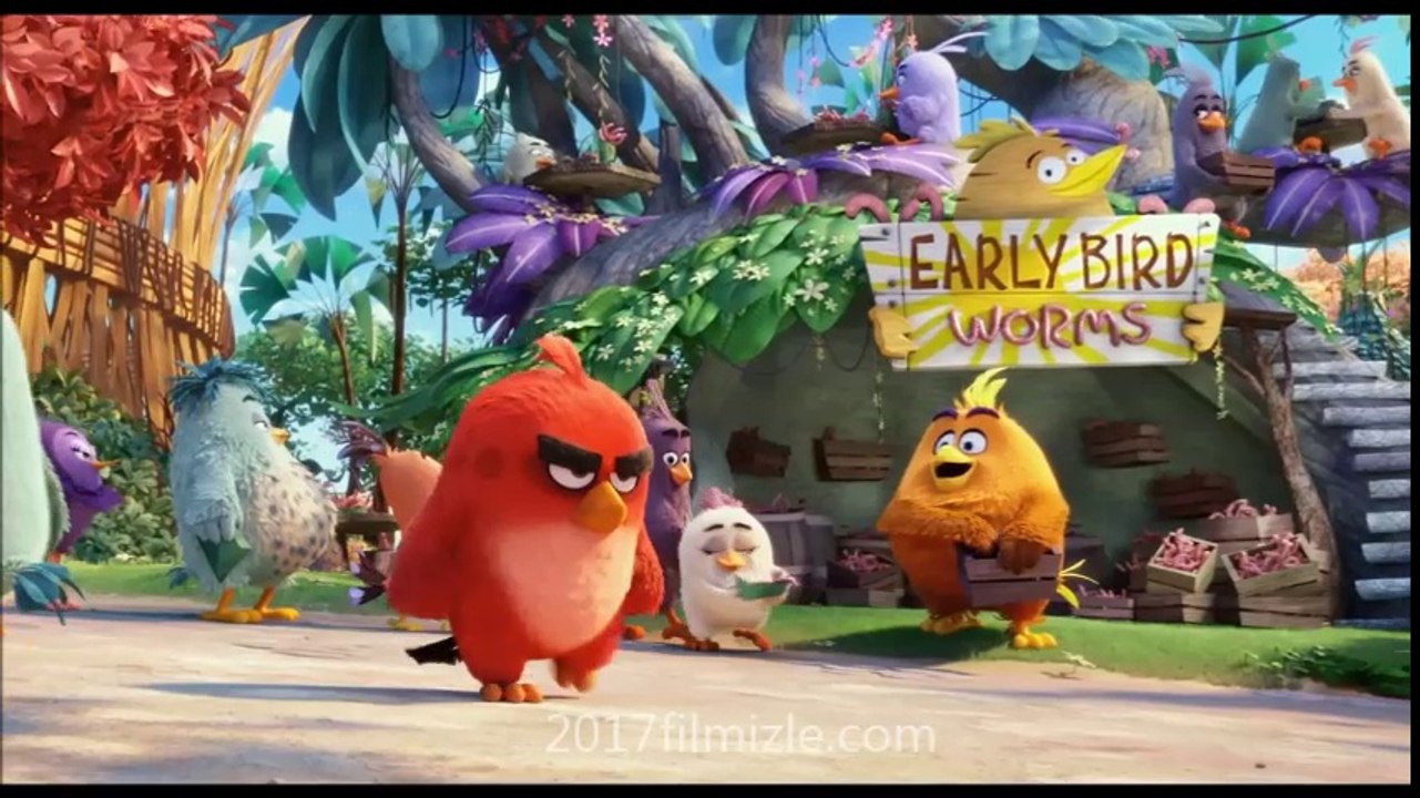 Angry birds Tek Parça hd izle