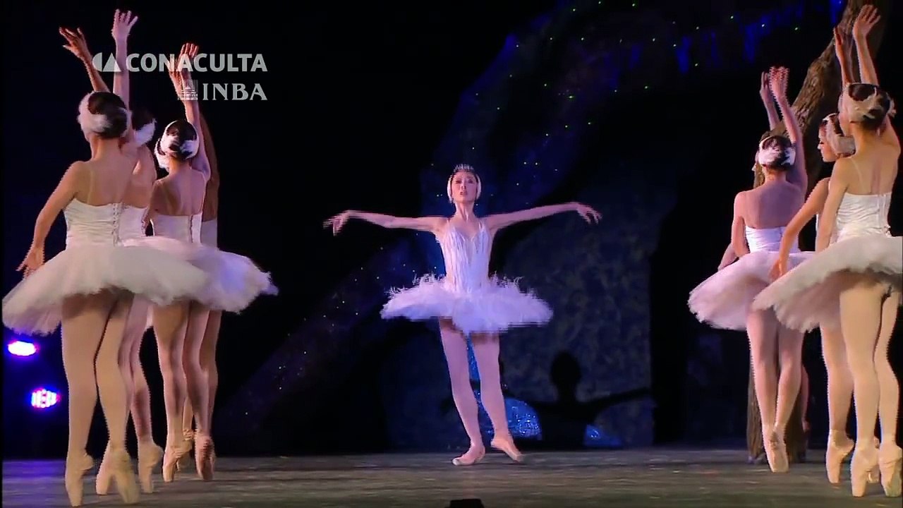 El Lago de los Cisnes 2015