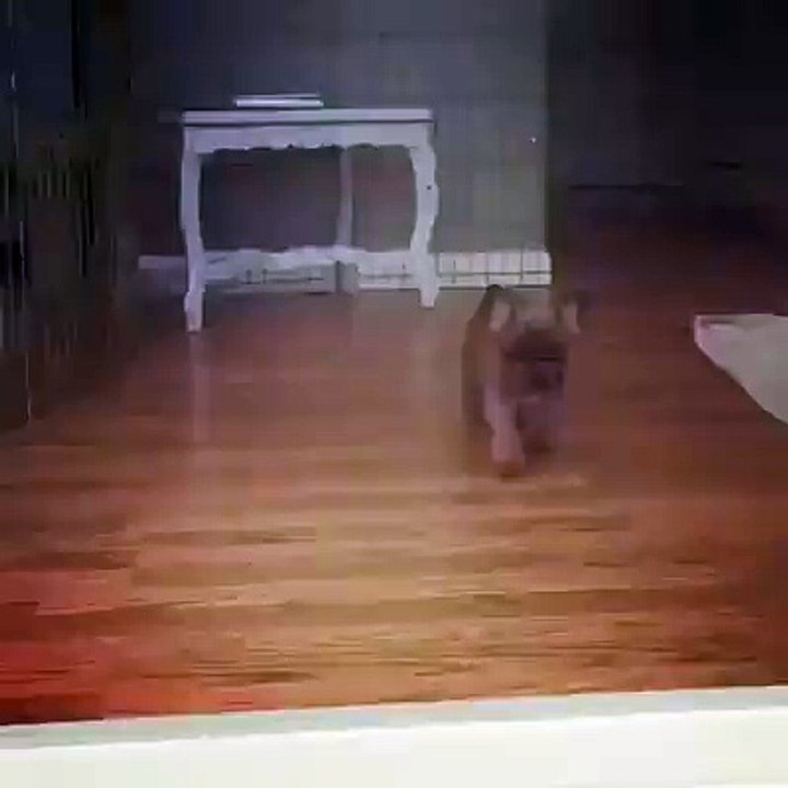 Random (631)
