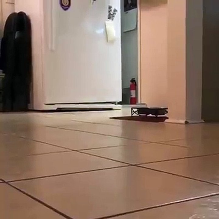 Random (651)