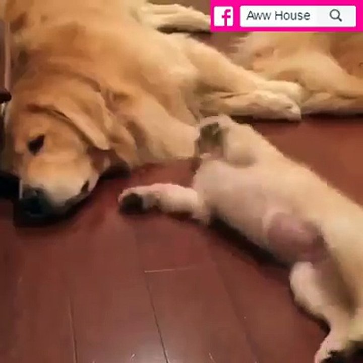 Random (412)