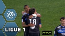 SC Bastia - Angers SCO (1-0)  - Résumé - (SCB-SCO) / 2015-16