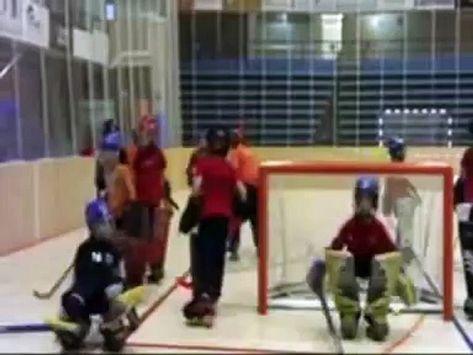 Centros Tecnificación porteros hockey