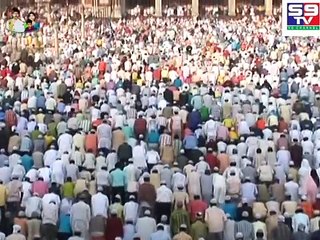 plantation of trees “s9tv“