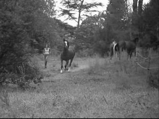 toi..moi une passion