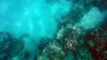 DSCF3199