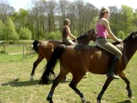 FORESTSTABLES LE 22-04-07 TROT, LIBRES COMME L'AIR