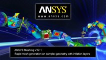 ANSYS 12.1 Automatic CFD meshing on complex passenger cabin geometry