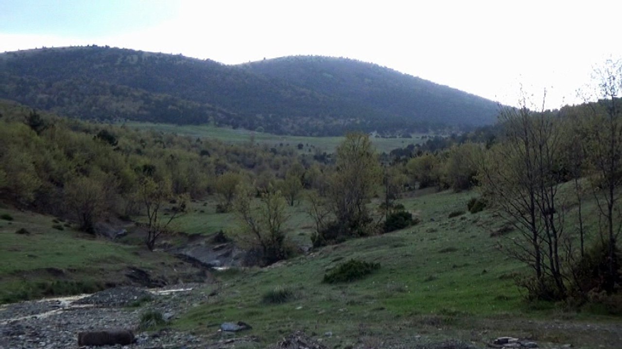 HANGİ DAĞIN ARDINDASIN SEVDİĞİM CANLI