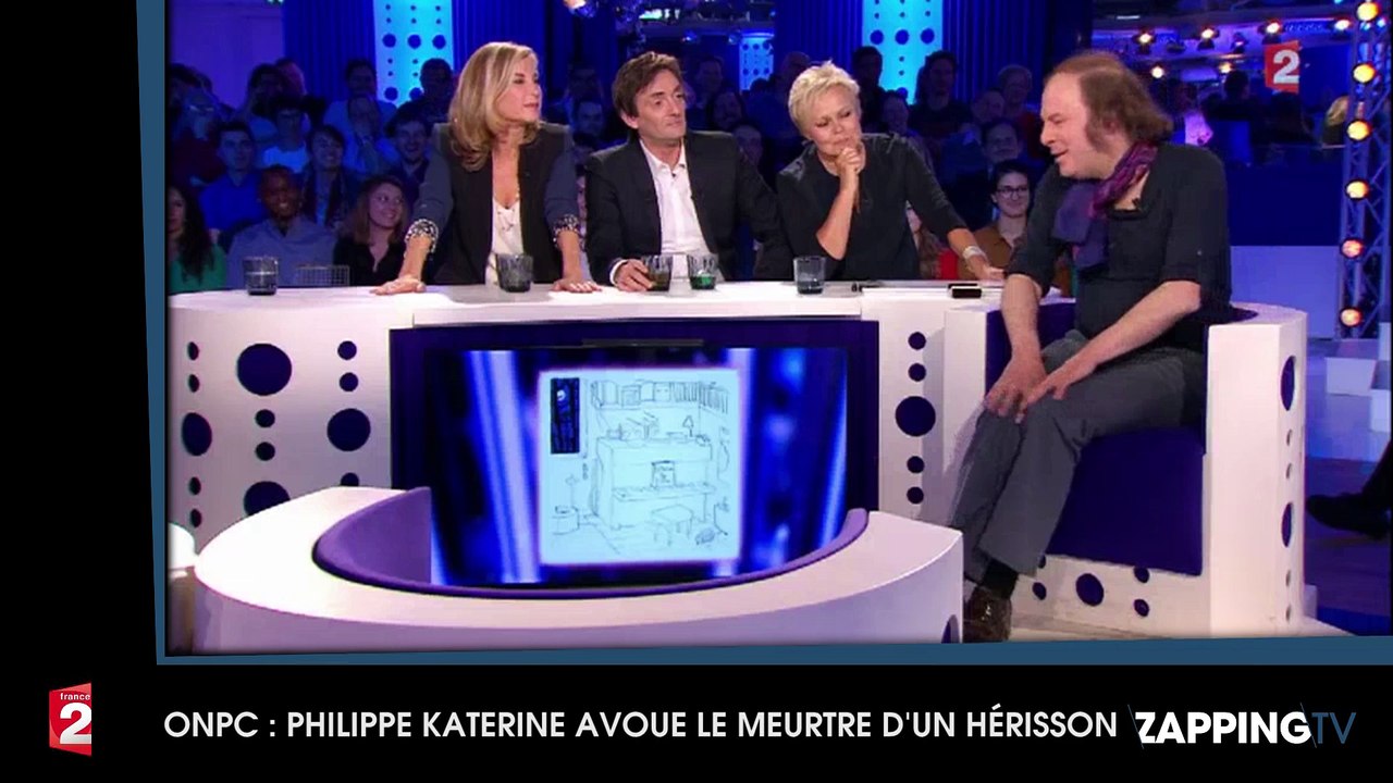 ONPC : Philippe Katerine avoue le meurtre d’un hérisson (vidéo)