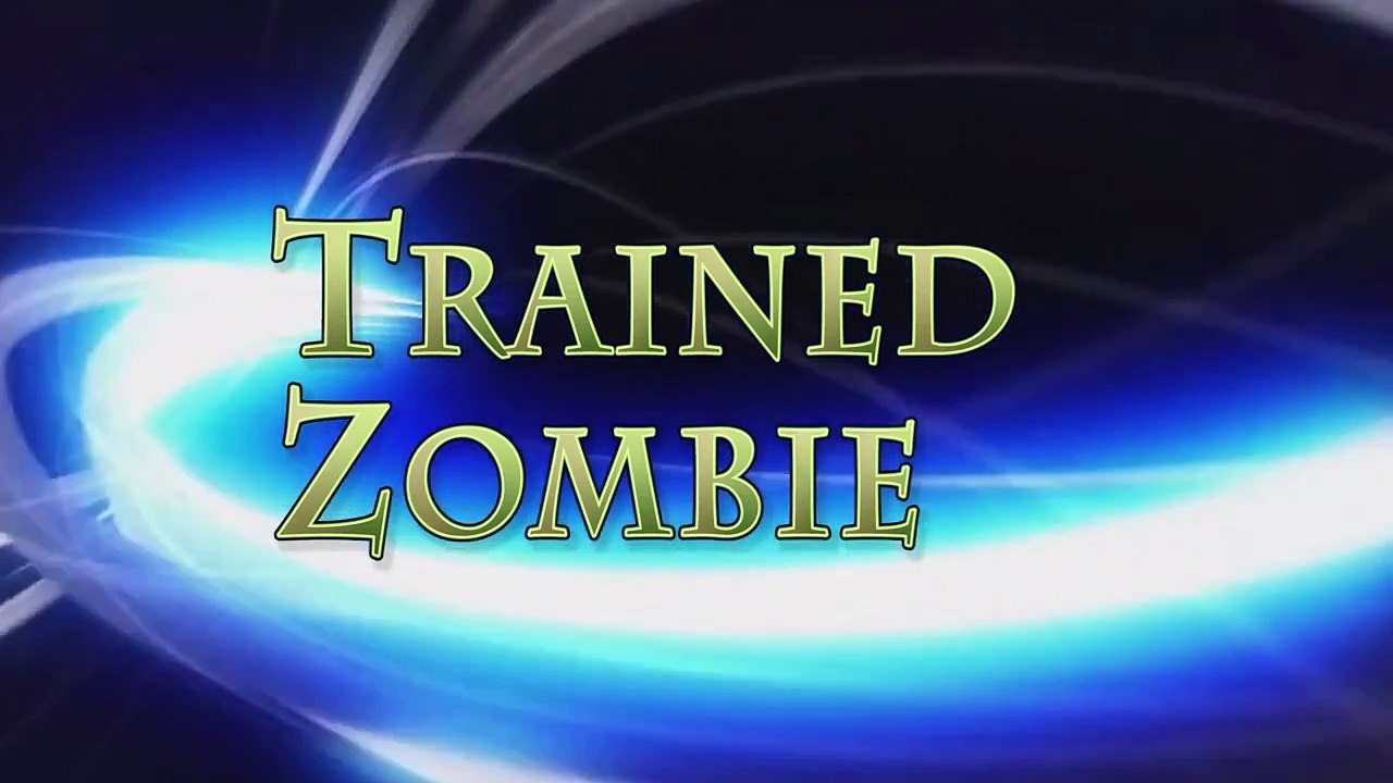 DIY GoPro HandHeld Gimbal Stabilizer CHEAP EASY Project for Steady Video