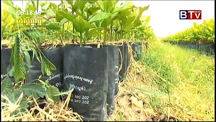 BTV  Khmer Agriculture News