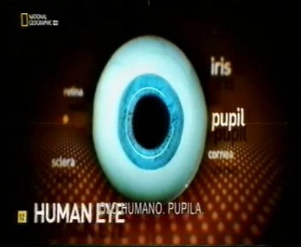 Vision periferica: Presas (Pupilas horizontales rotatorias)